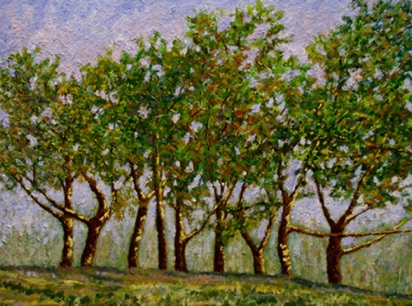 Nine Trees
9" x 12"
oil on linen board
©2010